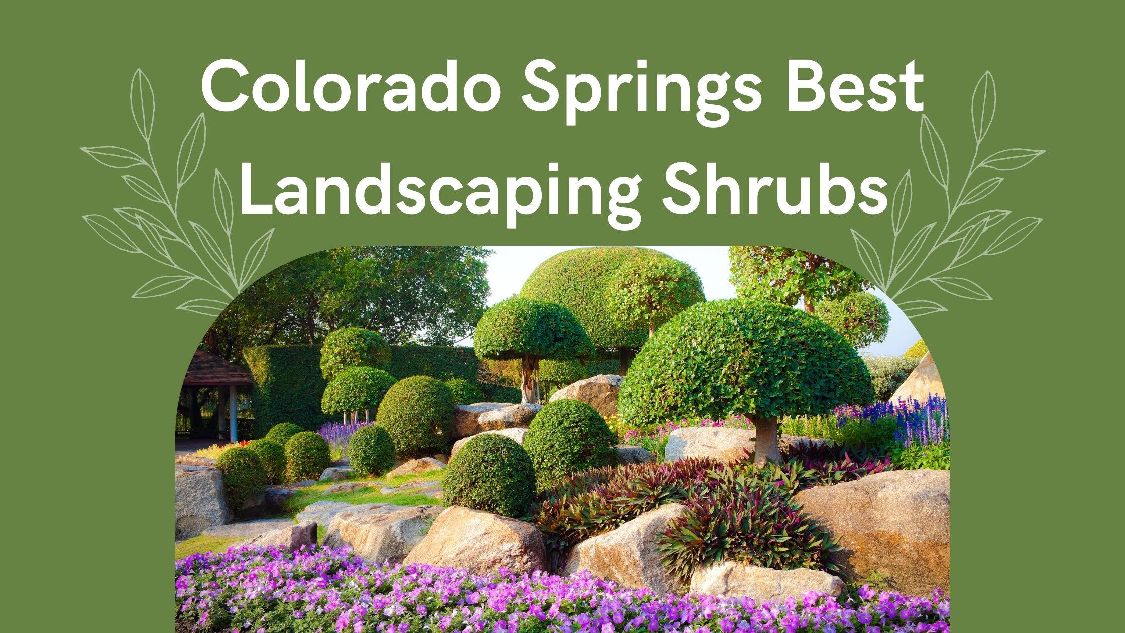 Colorado Springs Best Landscaping Shrubs