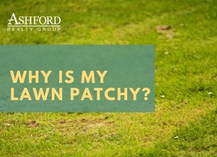 Why is My Lawn Patchy?