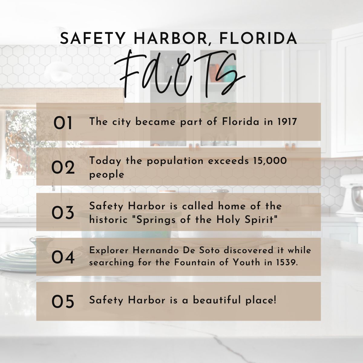 Safety Harbor Facts