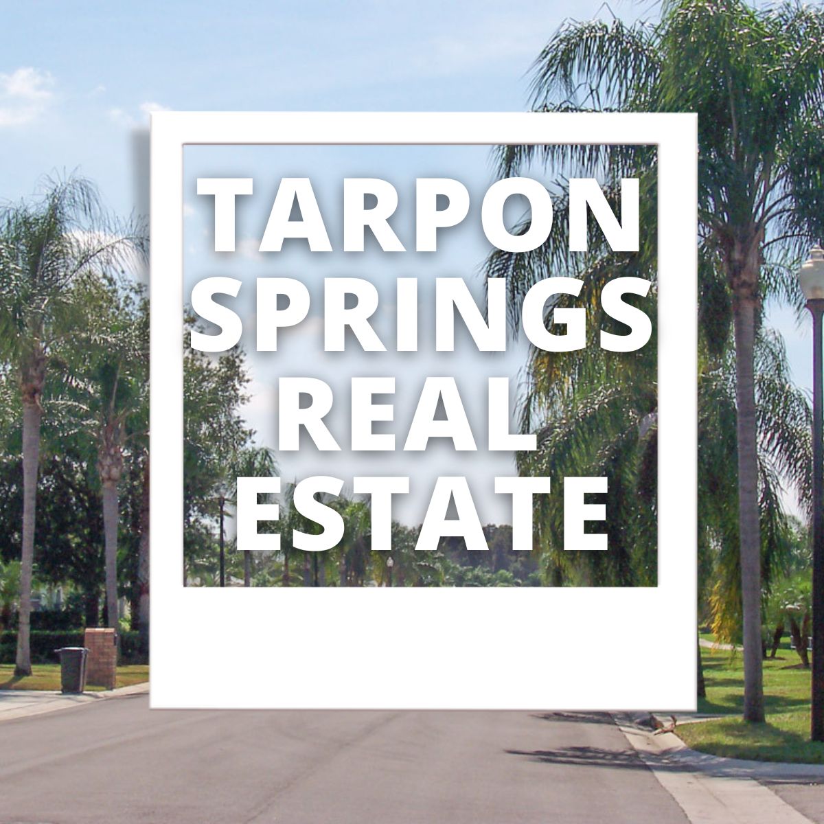 Tarpon Springs Real Estate