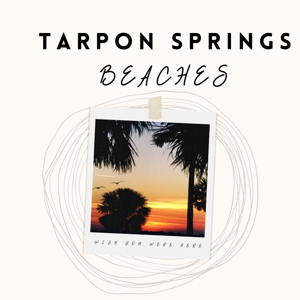 Tarpon Springs Beaches