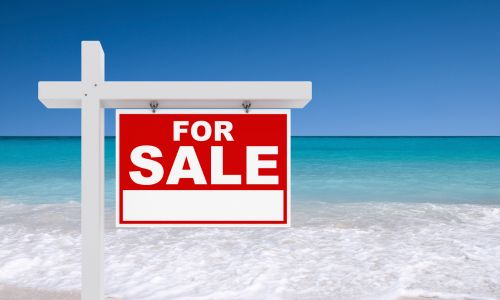 dunedin real estate