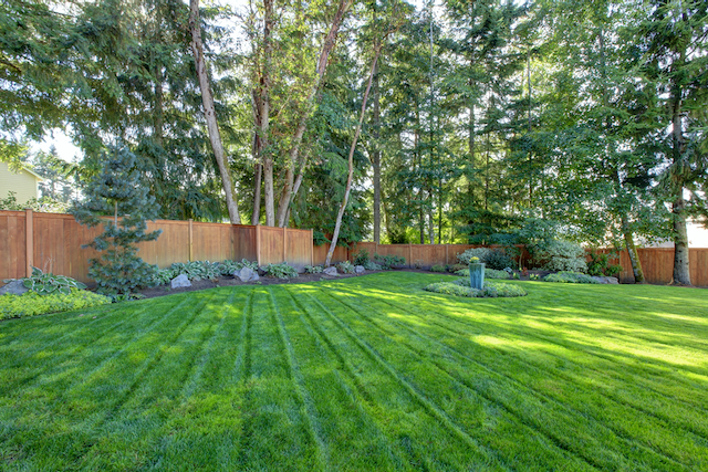 Fenced in Back Yard