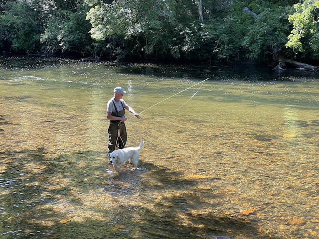 Fly Fishing South Fork New River