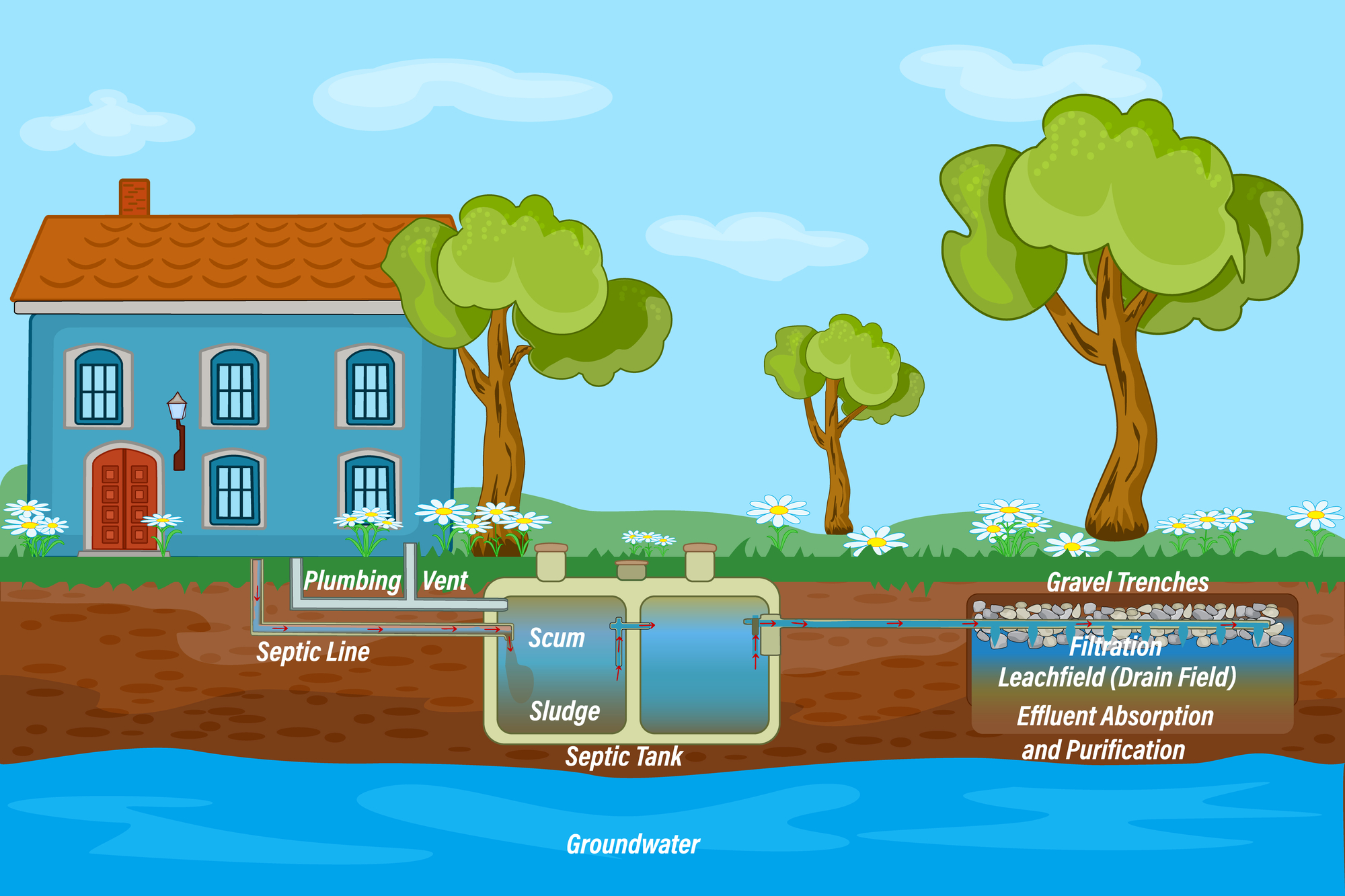 septic tank pumping