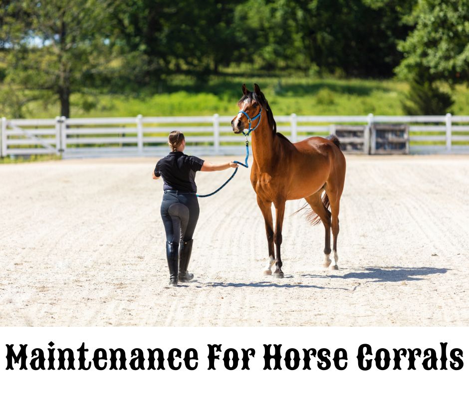 Maintenance For Horse Corrals