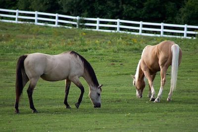 Top Collin County TX Lots and Land for Sale - Lots and Land for Sale in Collin County Texas