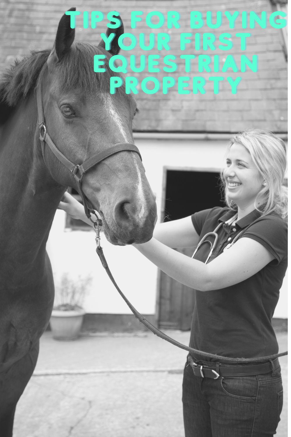 Tips for Buying Your First Equestrian Property