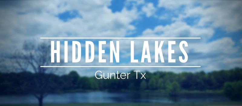 Homes for sale in Hidden Lakes