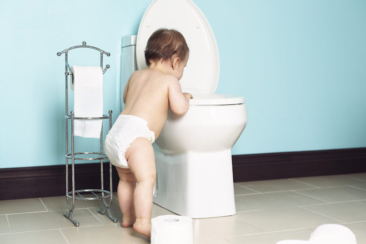 Toilet Maintainance