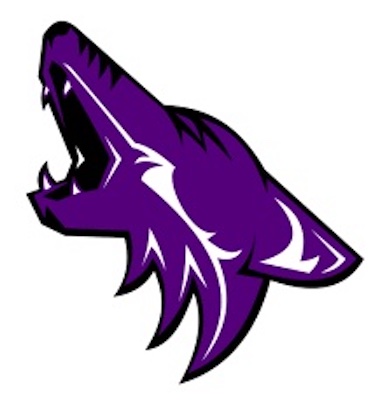 Anna Independent School District Logo