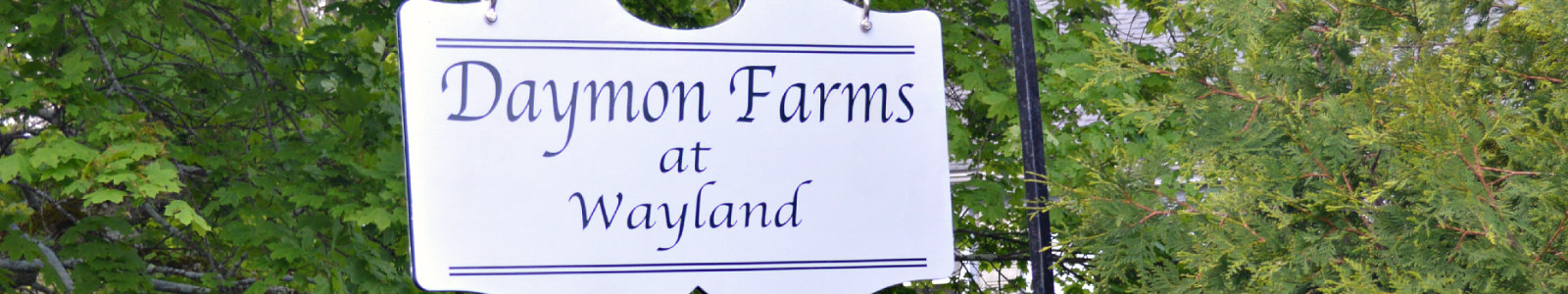 Daymon Farms
