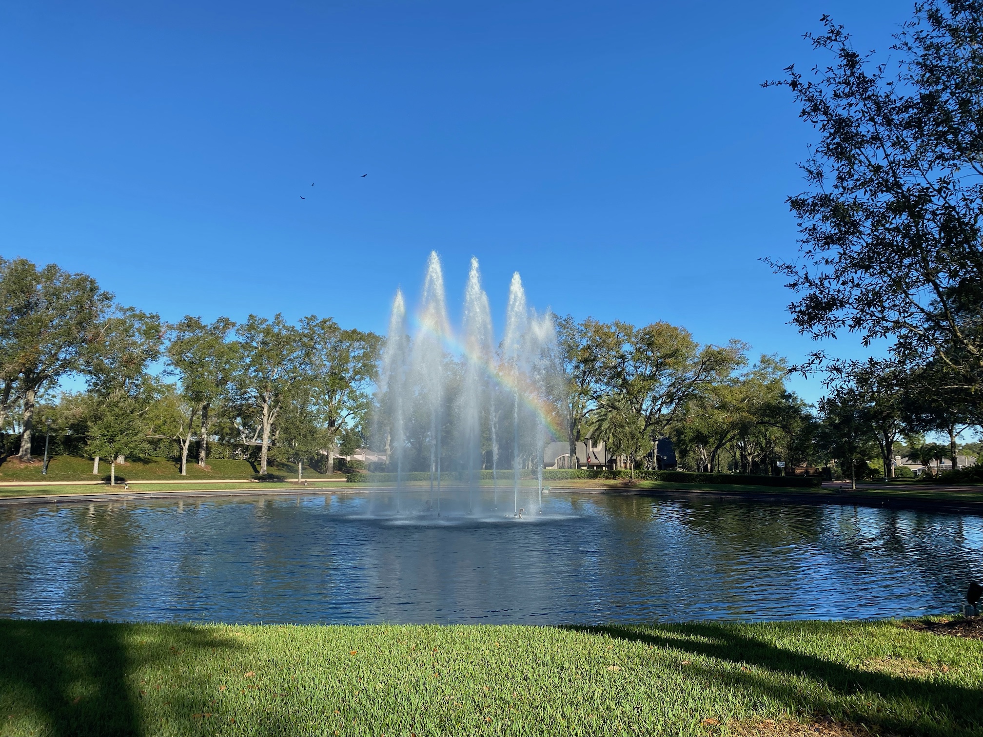 Lake Mary Homes for Sale|Lake Mary Real Estate