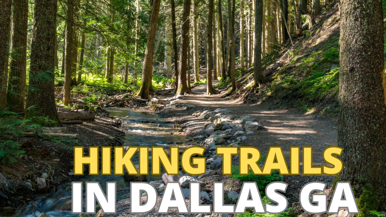 Discover the top hiking trails in Dallas, Georgia From the Silver Comet Trail to the Pickett's Mill Red and White Loop, embark on a journey through scenic routes and historic paths suitable for all skill levels.