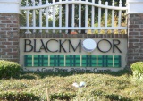 Blackmoor Real Estate