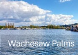 Wachesaw Palms Real Estate