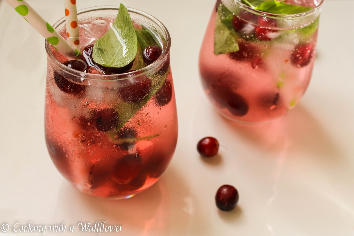 Cranberry-Mint-Lime-Sparkling-Water-2