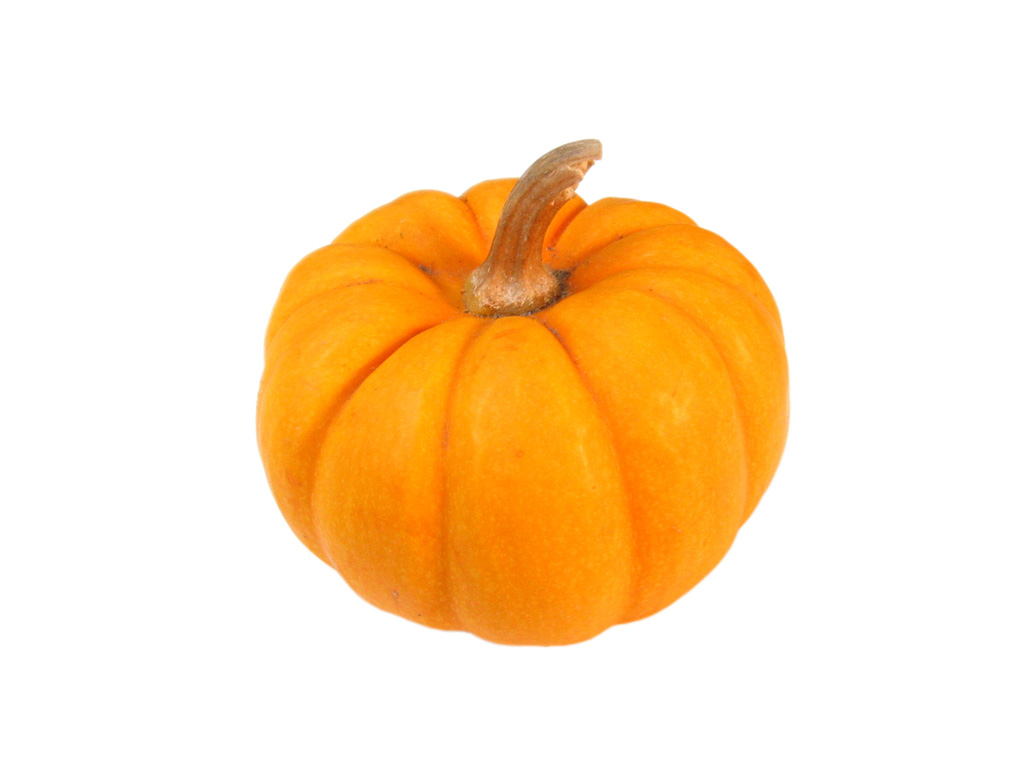 pumpkin-01